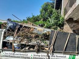 Best Scrap Metal Removal  in Blue Ridge, AL